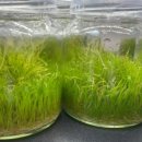 아쿠아헤어 이미지