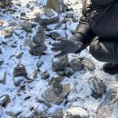 한반도면-12 | [영월 여행] 한반도지형 선돌 | 고씨굴 리얼 박쥐관찰 고씨동굴 | 겨울 1박2일