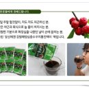 강원생약 이미지
