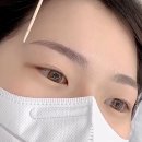 헤일로디자인