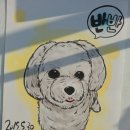 강아지정류장 이미지