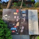 숲을 그리다 이미지