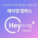 영레저스포츠 이미지