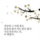 취중진담 이미지