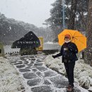 26,2,24.충남 태안 영목항전망대&amp;안면도자연휴양림&amp;드르니항(꽃게다리). 이미지
