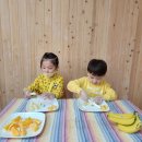 노랑데이