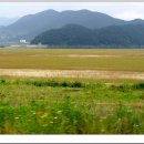 낙동강자전거길4 이미지