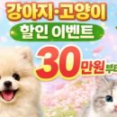 똥강아지 김해 강아지분양 고양이분양 이미지