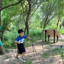 피자헤븐(영등포점) 이미지