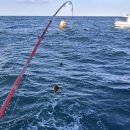 세니의 다락방 이미지