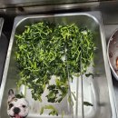 할매기사식당 이미지