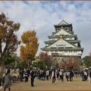 솔로아트 | 오사카 여행 코스 힙스터 추천 루트 솔로 후기