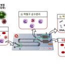 네이처 바이오(Nature Bio)