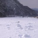 강고기
