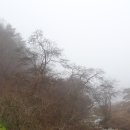 녹색마을길 이미지