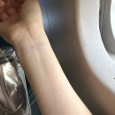 황금미가 | 부산 6월초 여행기 (목적 : 사직구장)