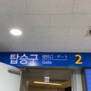뉴럭키무도학원 | 부산에서 후쿠오카 배타고 여행 뉴카멜리아호 다인실 1등실 비교 탑승 후기