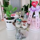 (주)굿즈영 이미지