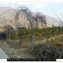 화포농장 이미지