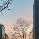 논현로11길 17 이미지