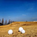 정원행정사 사무소 이미지