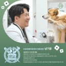 진리 동물병원 네이버블로그