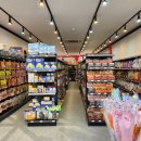 도그앤캣 이미지