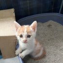 수암동물병원 이미지