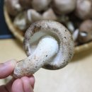 문용농장 이미지