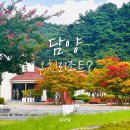 담양온천한식당 | 담양숙소 : 담양온천리조트 객실, 조식, 수영장까지