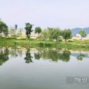 정원전기