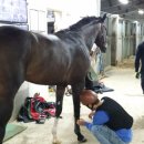 민주노총 전국공공운수  노동조합 부산 이미지