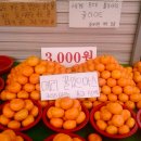 엔젤로또(주) | 메리 뀰있으마스