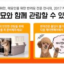 한마음동물의료센터