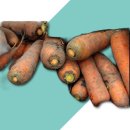 싱싱청과 이미지