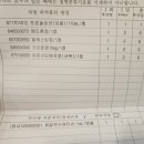 [여자 혼자 방콕 여행] 동남아 마사지샵 베드버그 피부 발진 및 수포