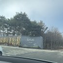 예산 덕산 스플라스 리솜 온천 워터파크 후기