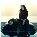 치타(CHEETAH) 이미지