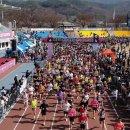 예산-21 이미지