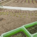 신교농장 이미지