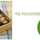 밥 한 공기로~! 신세대 퓨전 쌈밥 이미지