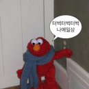 여행인생 이미지