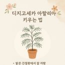 구미대로32길-1 이미지