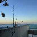 서부대로1 (행정전용) | 부산 기장 일광 오션뷰카페 | 아메리카노 1500원이라니..메이크씨커피(MAKESEA COFFEE) 내돈내산후기