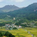 황매영농조합법인 이미지