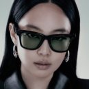 메타로라 네이버블로그