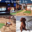 도그랑펜션 이미지