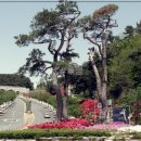 가야대학교(고령) 이미지