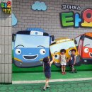들안길 CNB뉴스