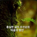 자연-탄생 이미지